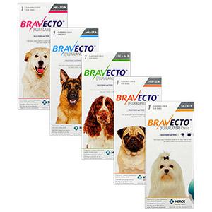 Medicamento-Bravecto perros