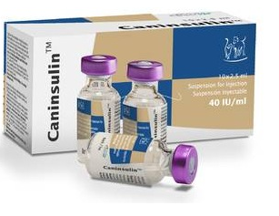 Medicamento veterinario-caninsulin