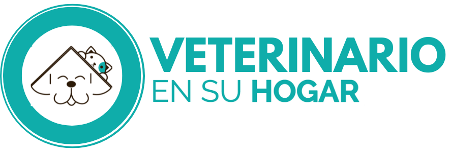 Veterinario en su hogar