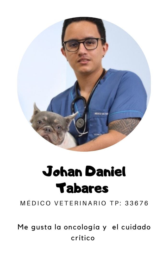 veterinario