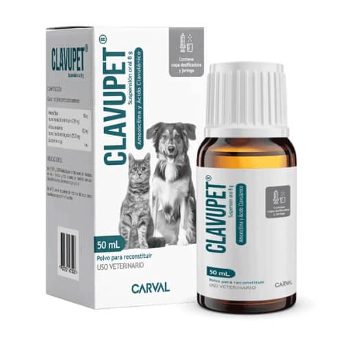 Clavupet susp oral 50ml